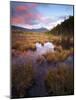 Maine, Baxter State Park, USA-Alan Copson-Mounted Photographic Print