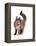 Maine Coon Cat-Fabio Petroni-Framed Premier Image Canvas