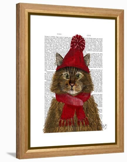 Maine Coon Cat-Fab Funky-Framed Stretched Canvas