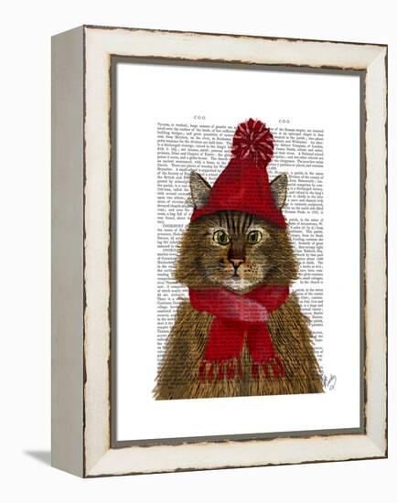 Maine Coon Cat-Fab Funky-Framed Stretched Canvas