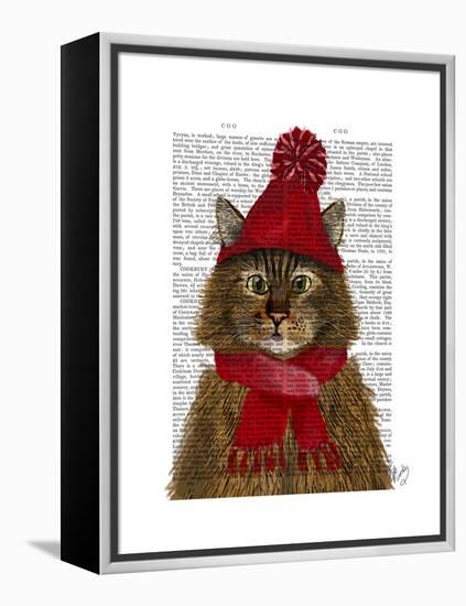 Maine Coon Cat-Fab Funky-Framed Stretched Canvas