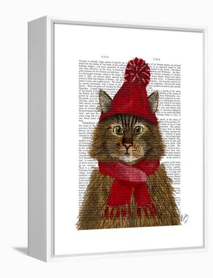 Maine Coon Cat-Fab Funky-Framed Stretched Canvas