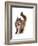 Maine Coon Cat-Fabio Petroni-Framed Photographic Print