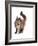 Maine Coon Cat-Fabio Petroni-Framed Photographic Print