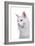 Maine Coon Cat-Fabio Petroni-Framed Photographic Print