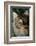 Maine Coon Cat-null-Framed Photographic Print