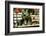 Maine Coon Cat-null-Framed Photographic Print