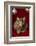 Maine Coon for Christmas with Collector Ornaments-Maresa Pryor-Framed Photographic Print