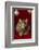 Maine Coon for Christmas with Collector Ornaments-Maresa Pryor-Framed Photographic Print