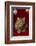 Maine Coon for Christmas with Collector Ornaments-Maresa Pryor-Framed Photographic Print