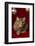 Maine Coon for Christmas with Collector Ornaments-Maresa Pryor-Framed Photographic Print