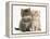 Maine Coon Kittens, 7 Weeks, Showing Different Colours-Mark Taylor-Framed Premier Image Canvas