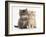 Maine Coon Kittens, 7 Weeks, Showing Different Colours-Mark Taylor-Framed Photographic Print