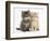 Maine Coon Kittens, 7 Weeks, Showing Different Colours-Mark Taylor-Framed Photographic Print