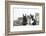 Maine Coon Kittens, 8 Weeks, with Baby Dutch X Lionhead Rabbits-Mark Taylor-Framed Photographic Print