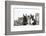 Maine Coon Kittens, 8 Weeks, with Baby Dutch X Lionhead Rabbits-Mark Taylor-Framed Photographic Print