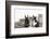 Maine Coon Kittens, 8 Weeks, with Baby Dutch X Lionhead Rabbits-Mark Taylor-Framed Photographic Print