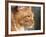 Maine Coon Red Tabby Cat, Portrait-Adriano Bacchella-Framed Photographic Print