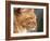 Maine Coon Red Tabby Cat, Portrait-Adriano Bacchella-Framed Photographic Print