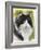 Maine Coon-Barbara Keith-Framed Giclee Print