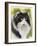 Maine Coon-Barbara Keith-Framed Giclee Print