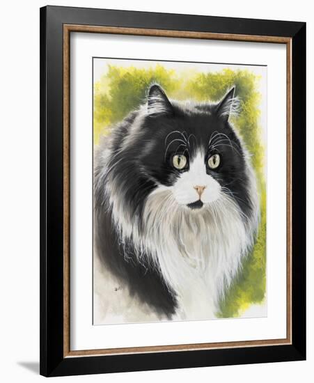 Maine Coon-Barbara Keith-Framed Giclee Print