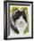 Maine Coon-Barbara Keith-Framed Giclee Print