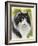 Maine Coon-Barbara Keith-Framed Giclee Print