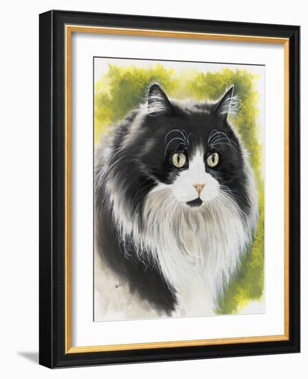 Maine Coon-Barbara Keith-Framed Giclee Print