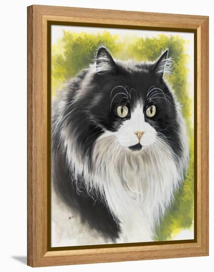 Maine Coon-Barbara Keith-Framed Premier Image Canvas