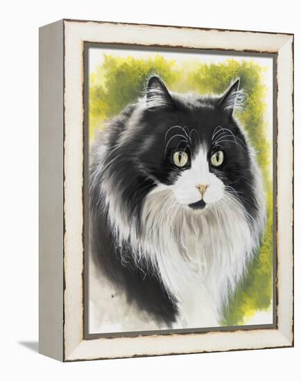 Maine Coon-Barbara Keith-Framed Premier Image Canvas