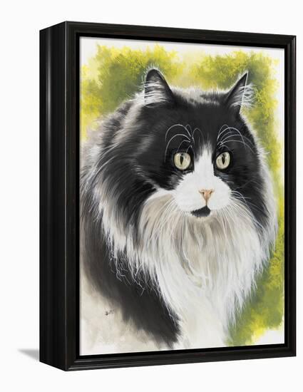 Maine Coon-Barbara Keith-Framed Premier Image Canvas