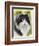 Maine Coon-Barbara Keith-Framed Giclee Print