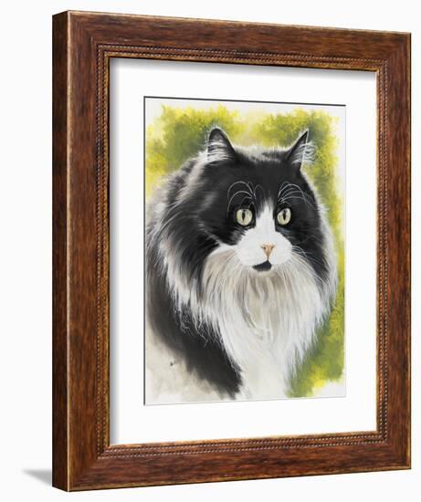 Maine Coon-Barbara Keith-Framed Giclee Print