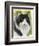 Maine Coon-Barbara Keith-Framed Giclee Print