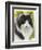 Maine Coon-Barbara Keith-Framed Giclee Print