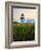 Maine, Doubling Point Lighthouse, USA-Alan Copson-Framed Photographic Print