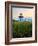 Maine, Doubling Point Lighthouse, USA-Alan Copson-Framed Photographic Print