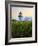 Maine, Doubling Point Lighthouse, USA-Alan Copson-Framed Photographic Print