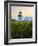 Maine, Doubling Point Lighthouse, USA-Alan Copson-Framed Photographic Print