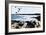 Maine Event-BethAnn Lawson-Framed Art Print