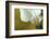 Maine, Harpswell. White Calla Lily-Jaynes Gallery-Framed Photographic Print