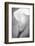 Maine, Harpswell. White Calla Lily-Jaynes Gallery-Framed Photographic Print