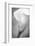 Maine, Harpswell. White Calla Lily-Jaynes Gallery-Framed Photographic Print