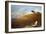 Maine Landscape, 2010-Lincoln Seligman-Framed Giclee Print