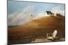 Maine Landscape, 2010-Lincoln Seligman-Mounted Giclee Print