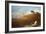 Maine Landscape, 2010-Lincoln Seligman-Framed Giclee Print