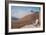 Maine Landscape, 2012-Lincoln Seligman-Framed Giclee Print