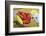 Maine Lobster and Corn on the Cob-Jon Hicks-Framed Photographic Print