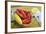 Maine Lobster and Corn on the Cob-Jon Hicks-Framed Photographic Print